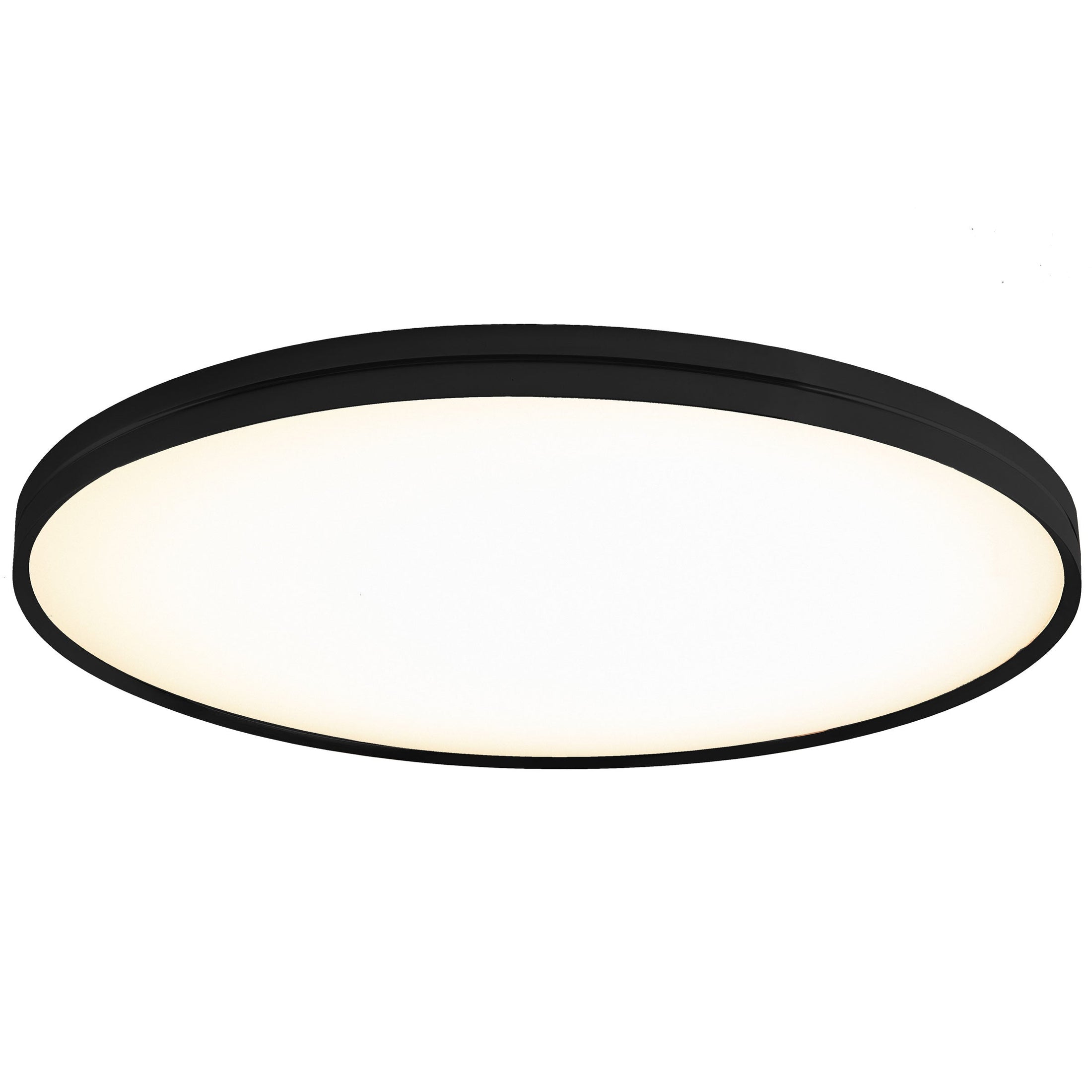 Lite Hole Wall/Ceiling Light