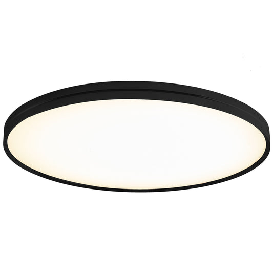 Lite Hole Wall/Ceiling Light