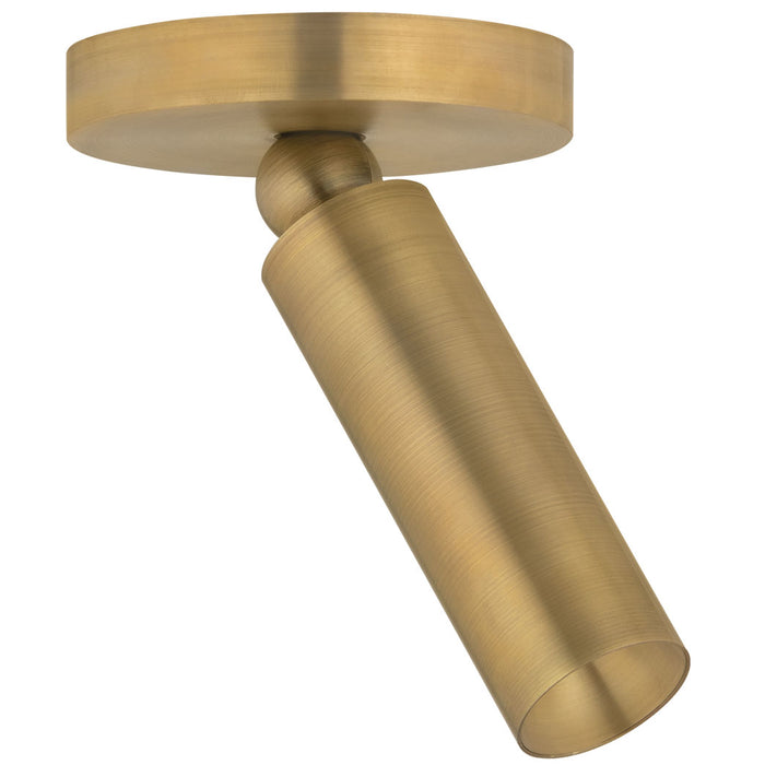 Luxe Pivot Ceiling Light