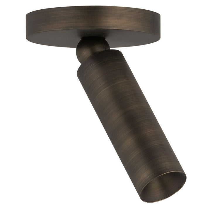 Luxe Pivot Ceiling Light