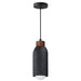 Pompeii Mini Pendant by Maxim Lighting