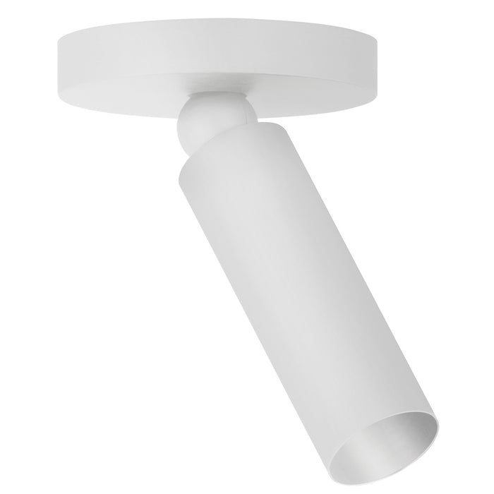 Luxe Pivot Ceiling Light
