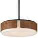 Draughtsman Convertible Pendant by Maxim Lighting