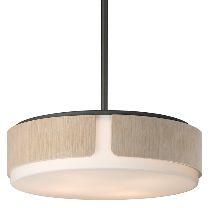 Draughtsman Convertible Pendant by Maxim Lighting