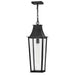 Georgetown Large Hanging Lantern by Hinkley
