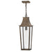 Georgetown Large Hanging Lantern by Hinkley