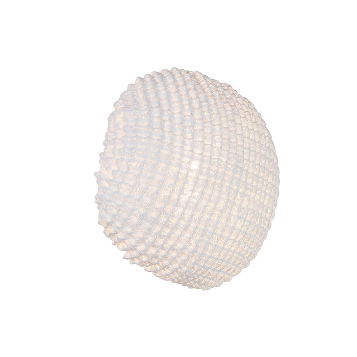 Tati Wall / Ceiling Light