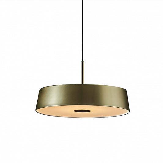 China LED Pendant
