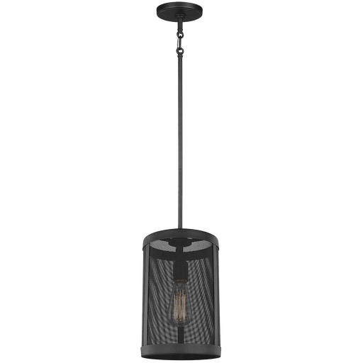 Gereon One Light Mini-Pendant by Visual Comfort Studio