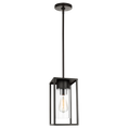 Load image into Gallery viewer, Vado One Light Outdoor Pendant Lantern
