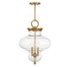 Bergdorf 3-Light Pendant by Savoy House