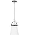 Tori Small Single Light Convertible Pendant by Lark