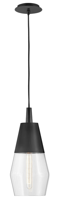 Livie Small Single Light Convertible Pendant by Lark