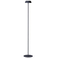 Load image into Gallery viewer, Float Rechargeable LED Floor Lamp
