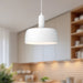 Adriano Pendant by Alora Lighting