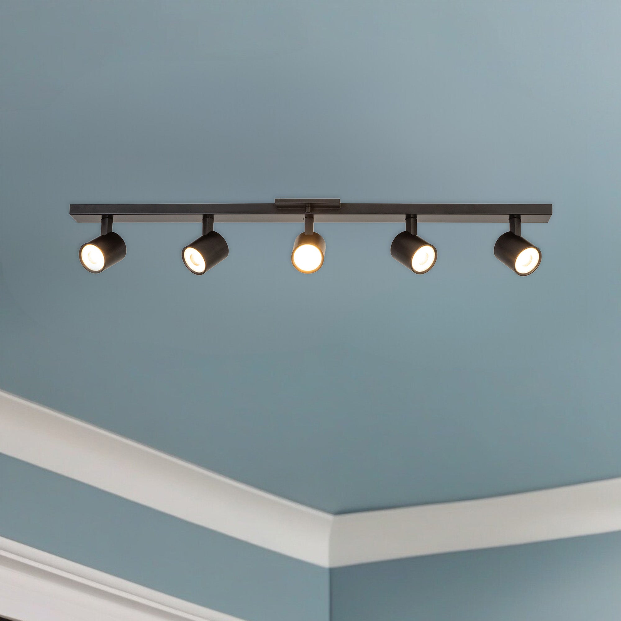 Arnold LED Track Light