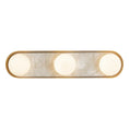 Load image into Gallery viewer, Alonso LED Vanity Light Brass
