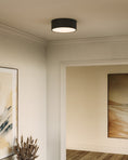 Load image into Gallery viewer, Brisbane Flush Mount
