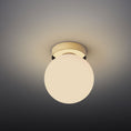 Load image into Gallery viewer, Bola Sphere Wall / Ceiling Light
