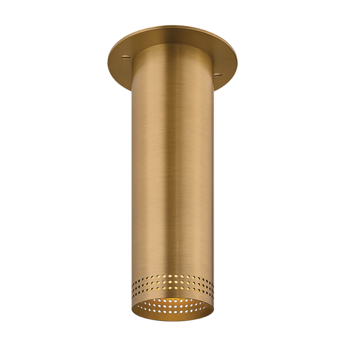 Berg Flush Mount by Troy Lighting by C1507-PBR