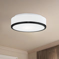 Load image into Gallery viewer, Charlie Flush Mount
