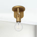 Claire 1-Light Semi-Flushmount by Alora Lighting