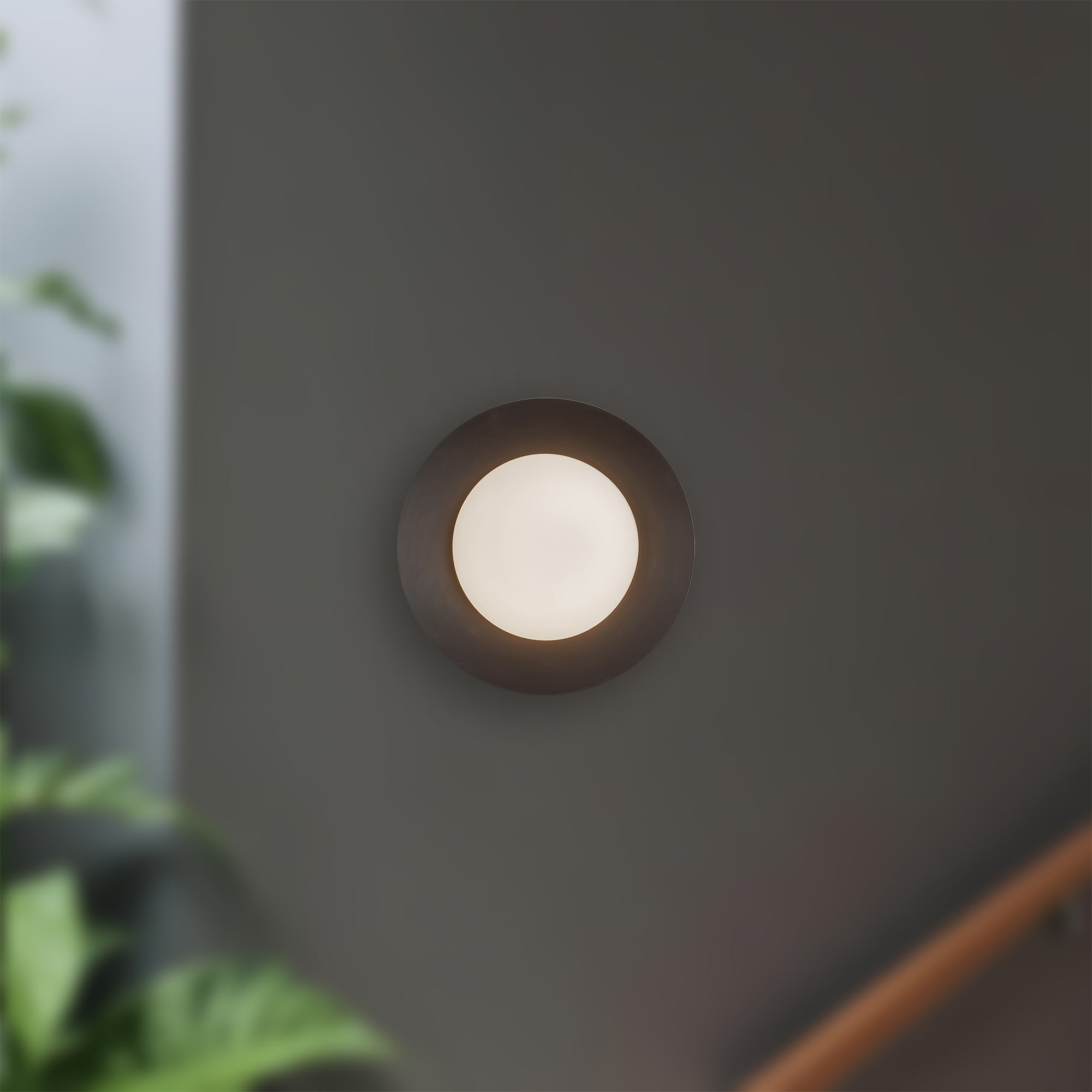 Cleo LED Wall Sconce