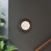 Cleo LED Wall Sconce by Kuzco Lighting