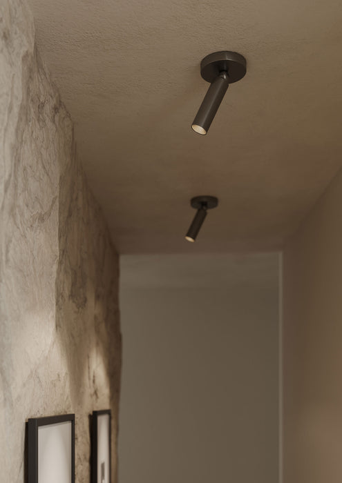Luxe Pivot Ceiling Light