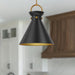 Emerson Pendant by Alora Lighting