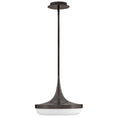 Load image into Gallery viewer, Elsa LED Convertible Pendant - Black Oxide
