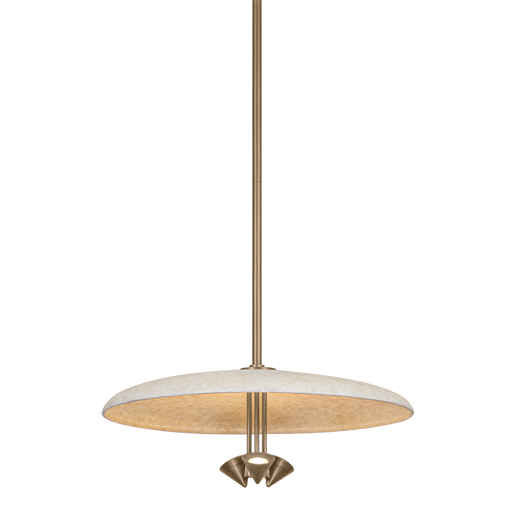 Garth Pendant by Troy Lighting by F2820-PBR/WTW