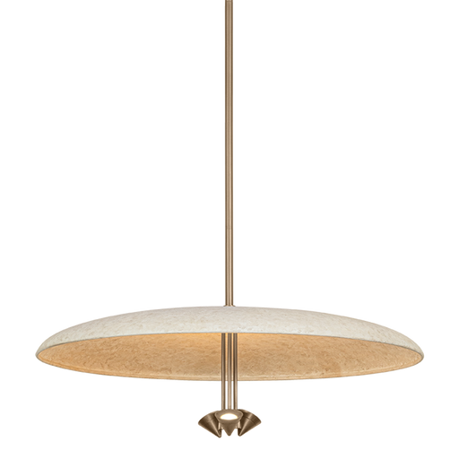 Garth Chandelier by Troy Lighting by F2830-PBR/WTW
