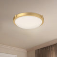 Load image into Gallery viewer, Floyd LED Flush Mount
