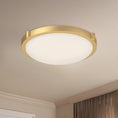 Load image into Gallery viewer, Floyd LED Flush Mount
