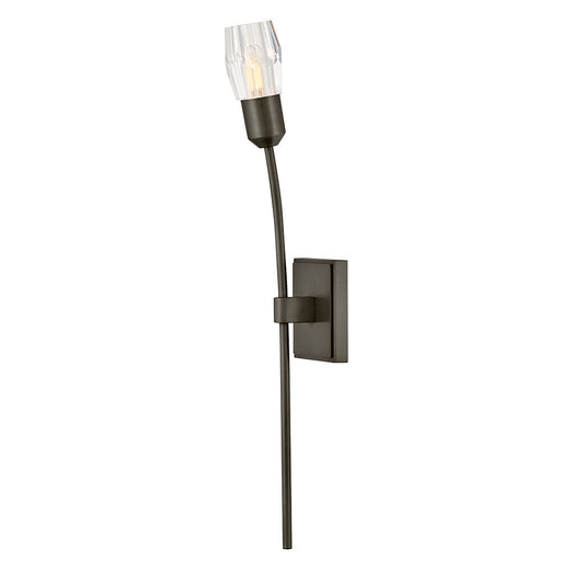 Atera Large Single Light Sconce by Fredrick Ramond