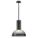 Ombra Large Pendant by Fredrick Ramond