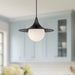 Fuji Pendant by Alora Lighting
