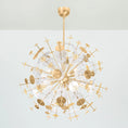 Load image into Gallery viewer, Gleason Chandelier display
