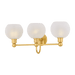 Jerica Vanity Light by Mitzi