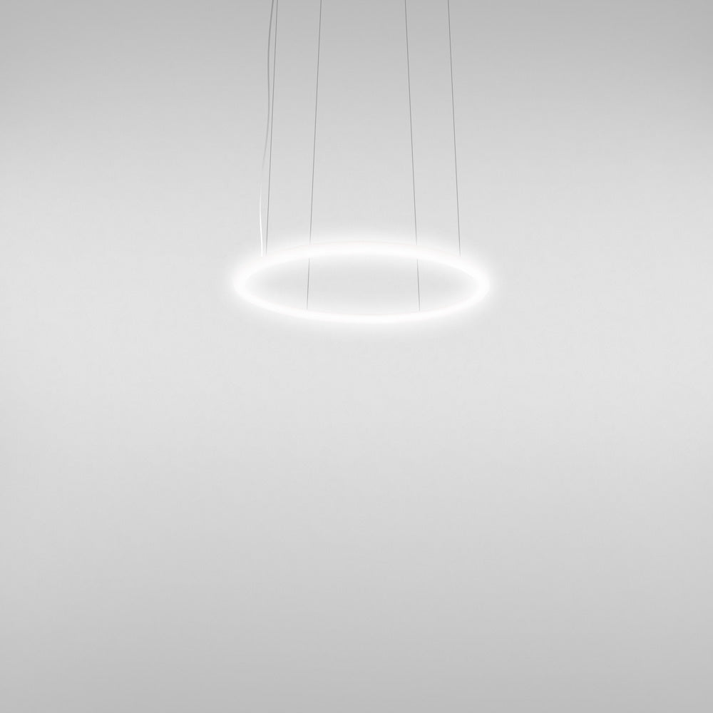 Alphabet Of Light LED Circular Suspension