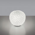 Load image into Gallery viewer, Meteorite Table Lamp
