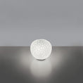 Load image into Gallery viewer, Meteorite Table Lamp
