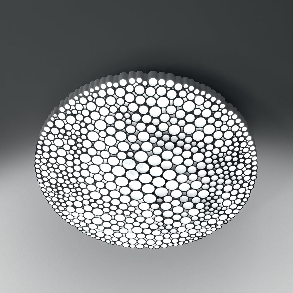 Calipso LED Wall/Ceiling Light