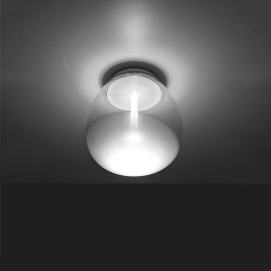 Empatia Wall/Ceiling Light