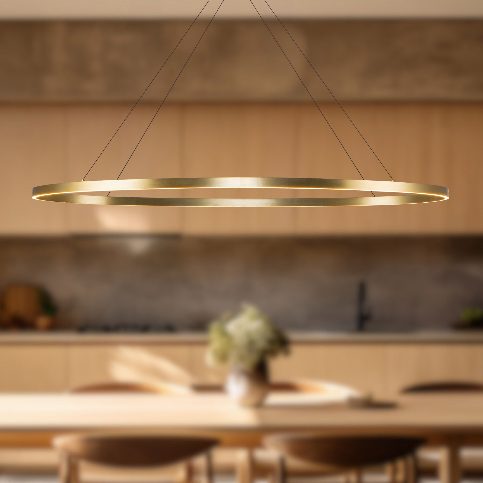 Ovale LED Linear Pendant