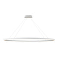 Load image into Gallery viewer, Ovale LED Linear Pendant in White Finish | Kuzco Lighting
