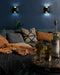 601471 LED Wall Sconce by Kuzco Lighting