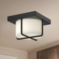 Load image into Gallery viewer, Regalo LED Flush Mount
