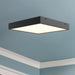 Sydney Flush Mount by Alora Lighting